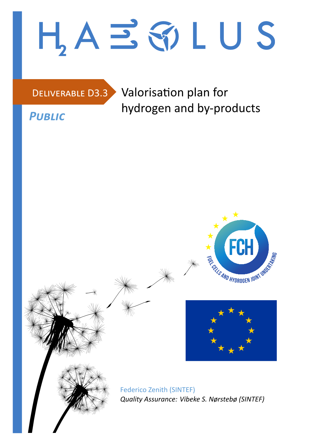 D3.3 Valorisation Plan for Hydrogen and By‐Products PUBLIC