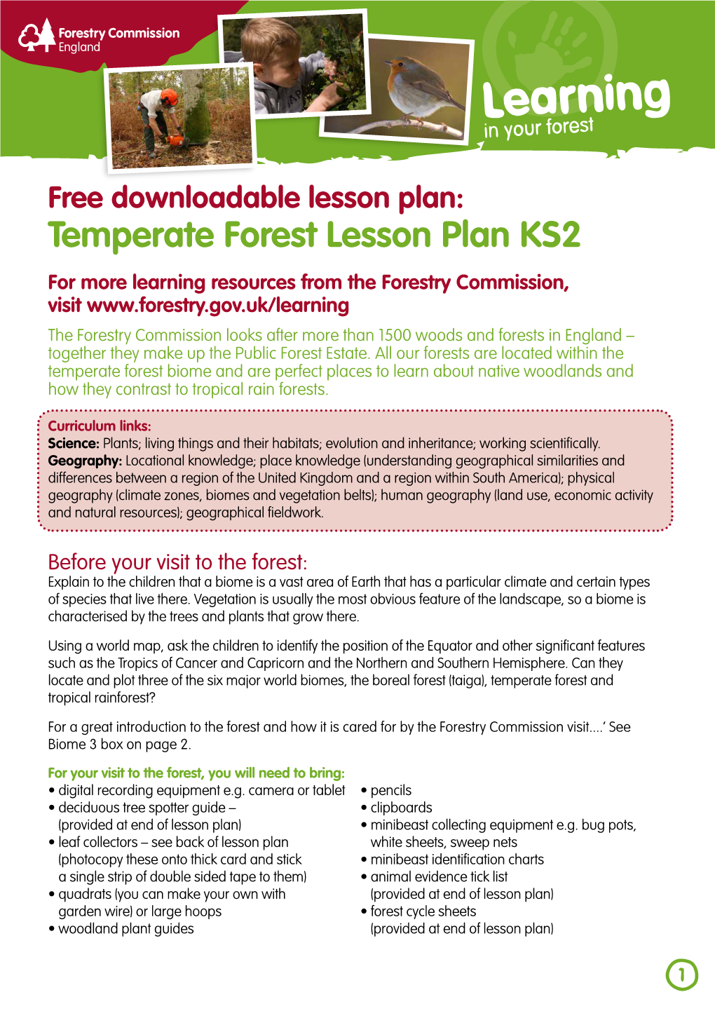 Free Downloadable Lesson Plan