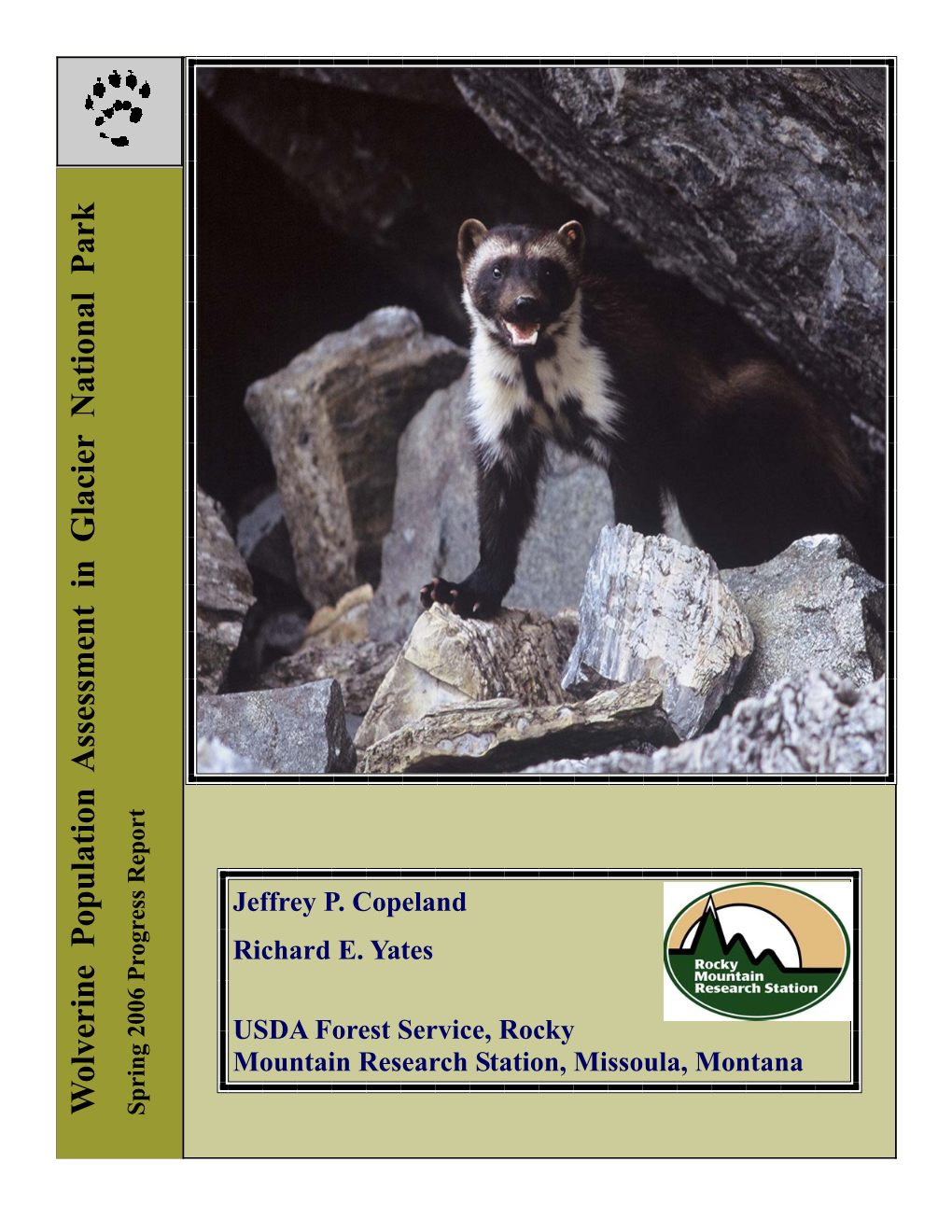 Wolverine Population Assessment in Glacier National Park Progress Report 2004-2005 Jeffrey P