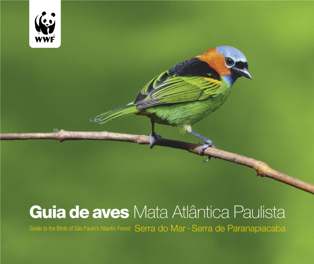 Guia De Aves Mata Atlântica Paulista Mar and Serra De Paranapiacaba