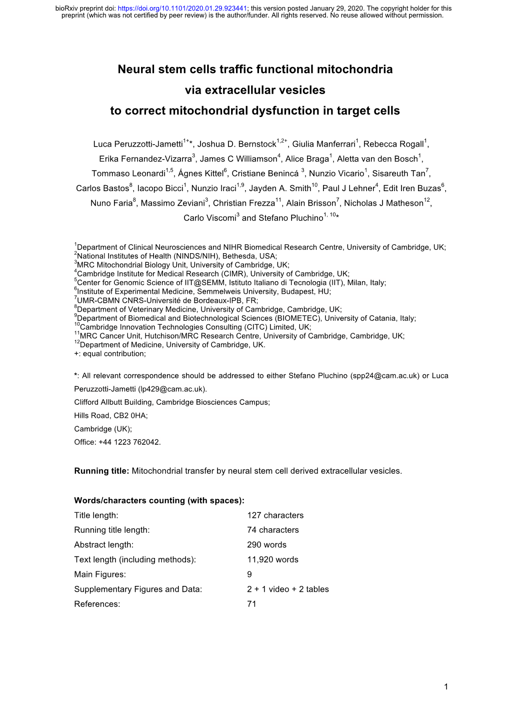 Neural Stem Cells Traffic Functional Mitochondria Via Extracellular Vesicles to Correct Mitochondrial Dysfunction in Target Cells