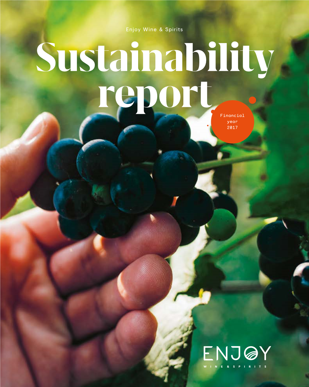 Sustainability Reportfinancial
