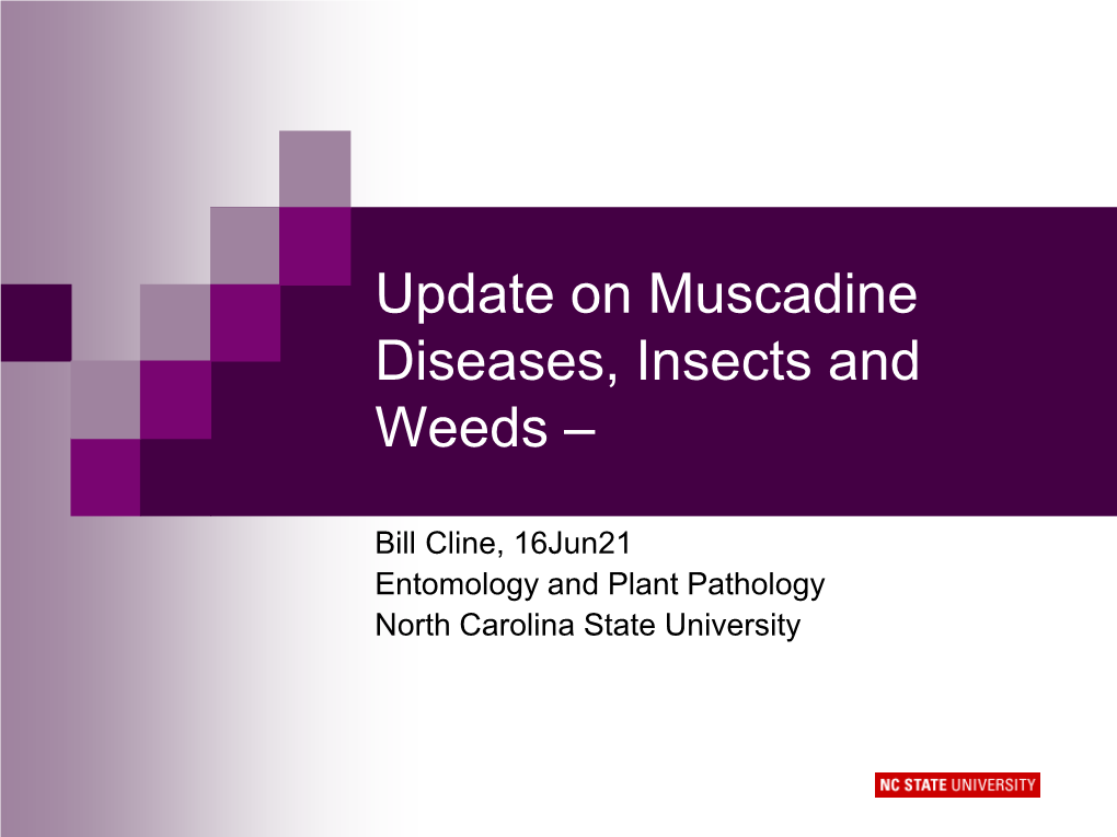 Update on Muscadine Diseases, Insects and Weeds –