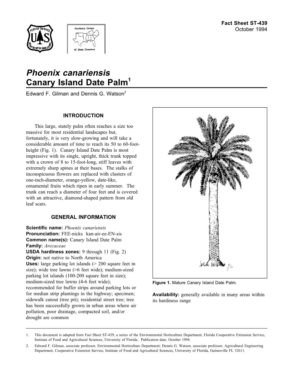 Phoenix Canariensis Canary Island Date Palm1 Edward F