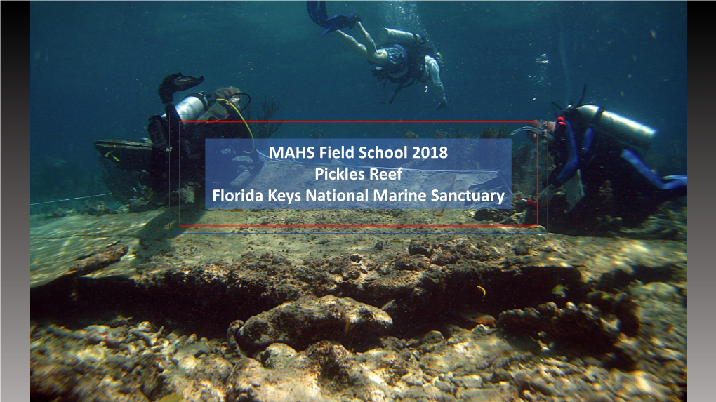 MAHS Field School 2018 Pickles Reef Florida Keys National Marine Sanctuary MAHS Returned to Pickles Reef in June of 2018 to Hold Its Annual Field School