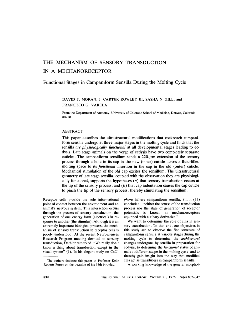 The Mechanism of Sensory Transduction in a Mechanoreceptor