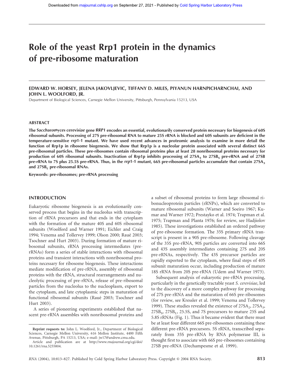 Role of the Yeast Rrp1 Protein in the Dynamics of Pre-Ribosome Maturation