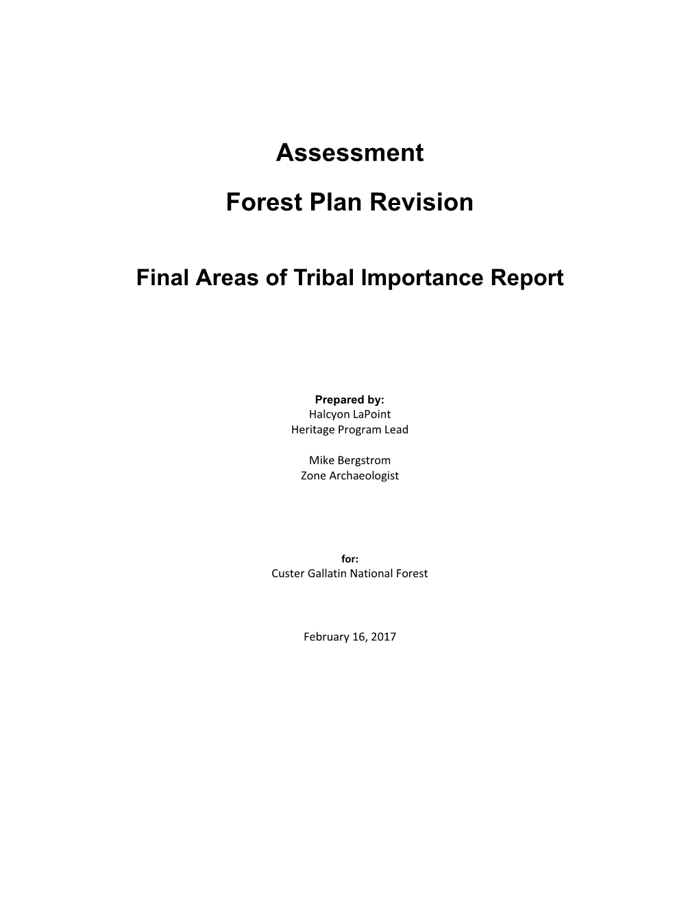 Assessment Report