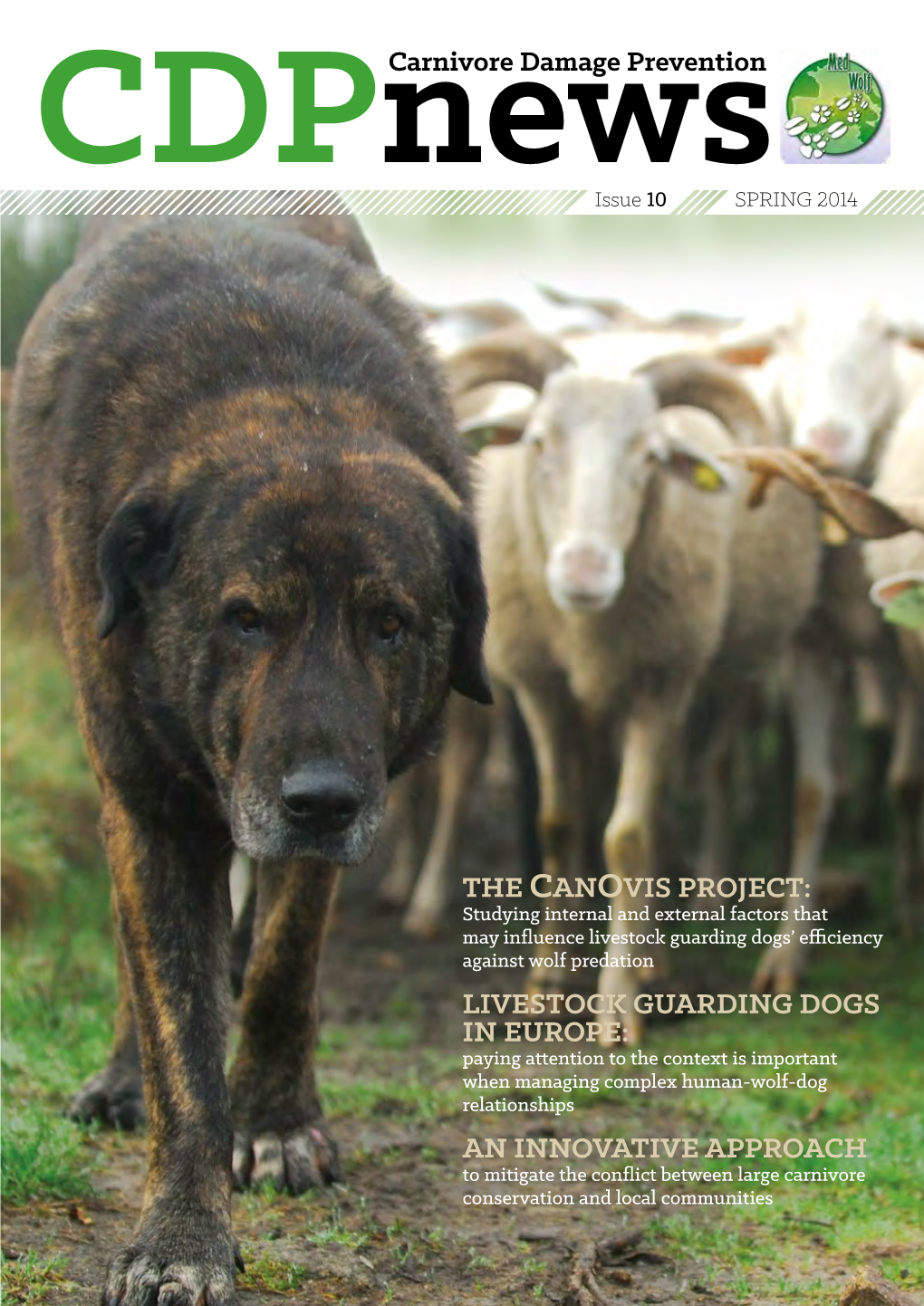 LIVESTOCK GUARDING DOGS in EUROPE: Paying Attention to the Context Is Important When Managing Complex Human-Wolf-Dog Relationships