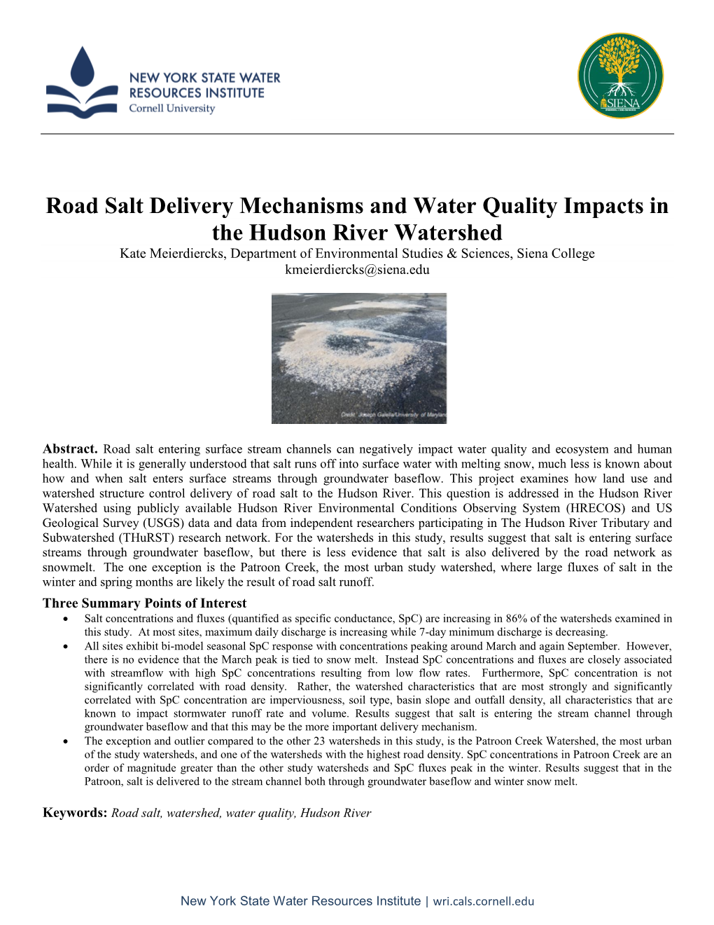 Road Salt Delivery Mechanisms and Water Quality Impacts in the Hudson River Watershed