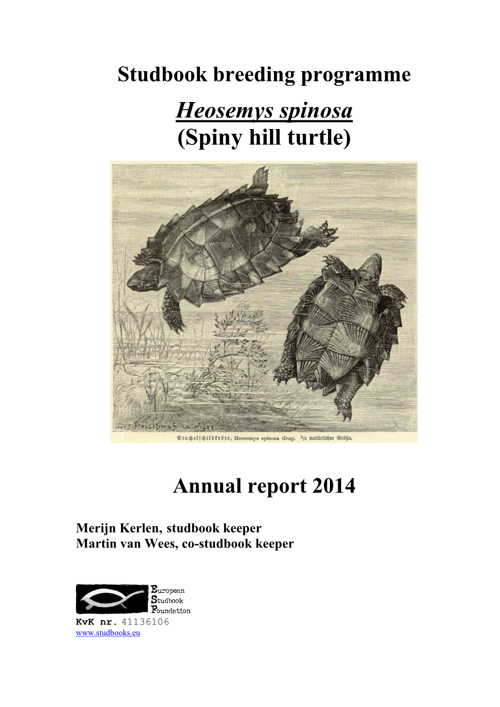 Heosemys Spinosa (Spiny Hill Turtle)