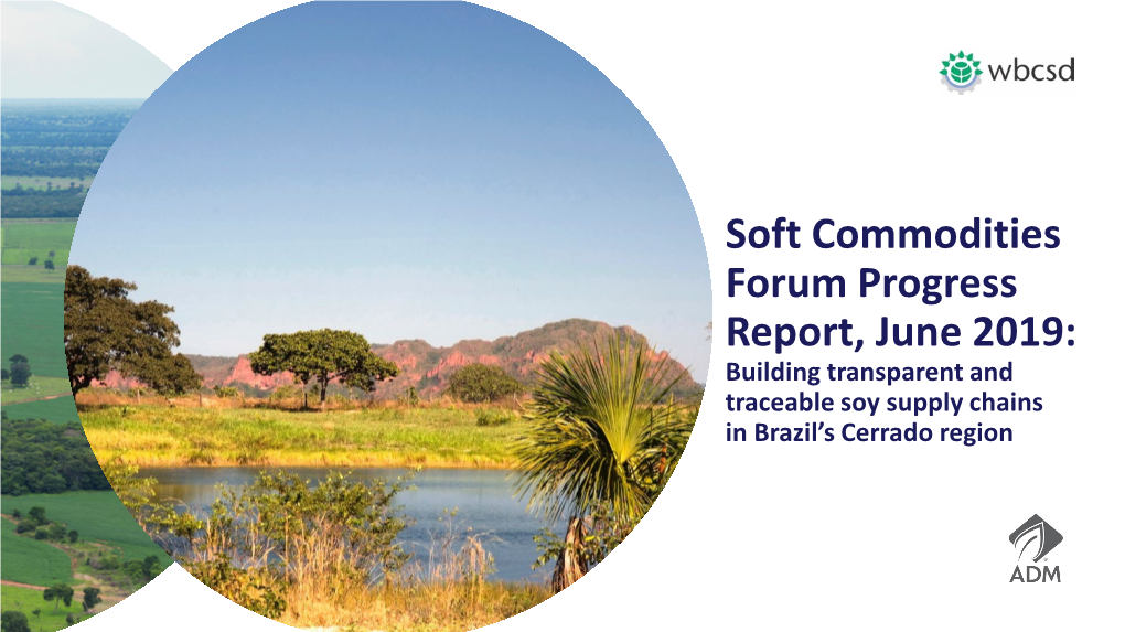 Soft Commodities Forum Progress Report, June 2019: Building Transparent and Traceable Soy Supply Chains in Brazil’S Cerrado Region About the Soft Commodities Forum
