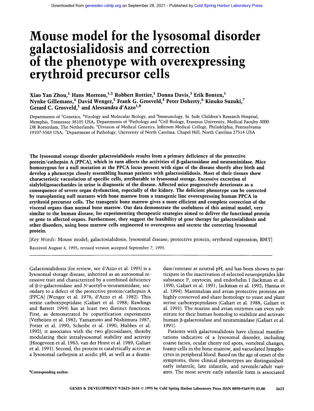 Mouse Model for the Lysosomal Disorder Galactosialidosis and Correction of the Phenotype with Overexpressing Erythroid Precursor Cells