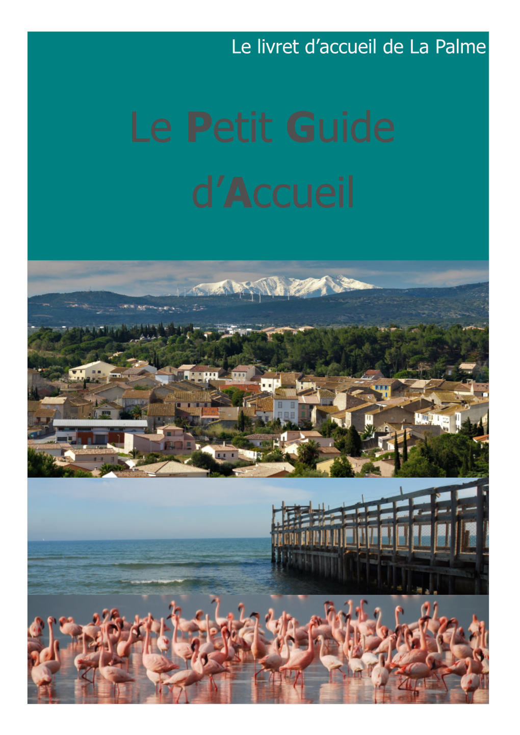 Le Petit Guide D'accueil