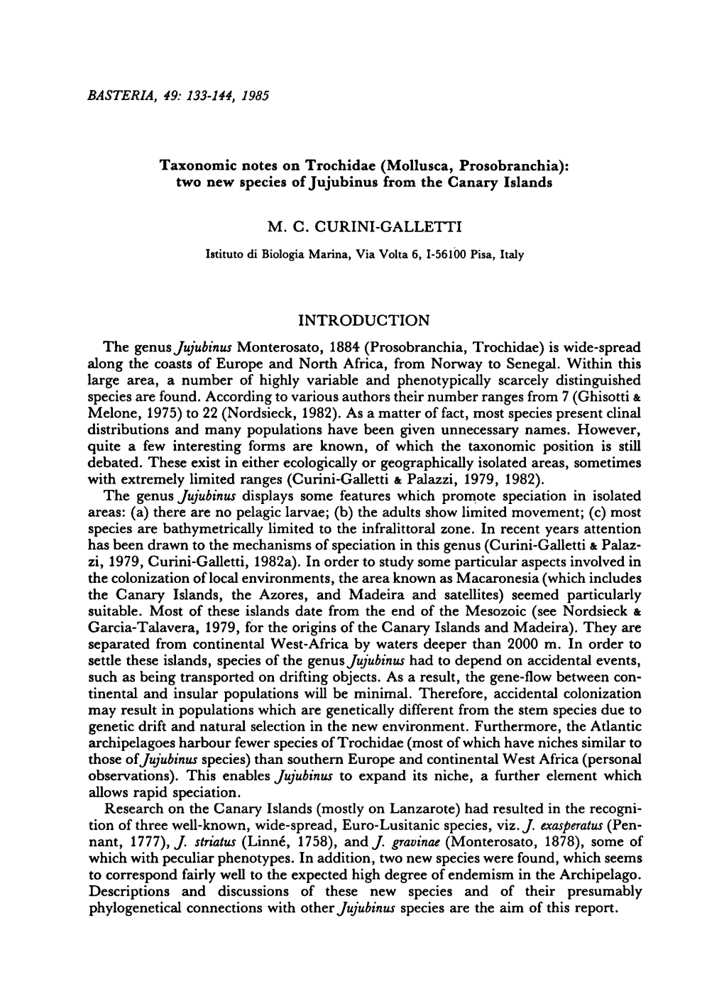 (Mollusca, Prosobranchia): New Species of Jujubinus from the Canary Islands Recogni