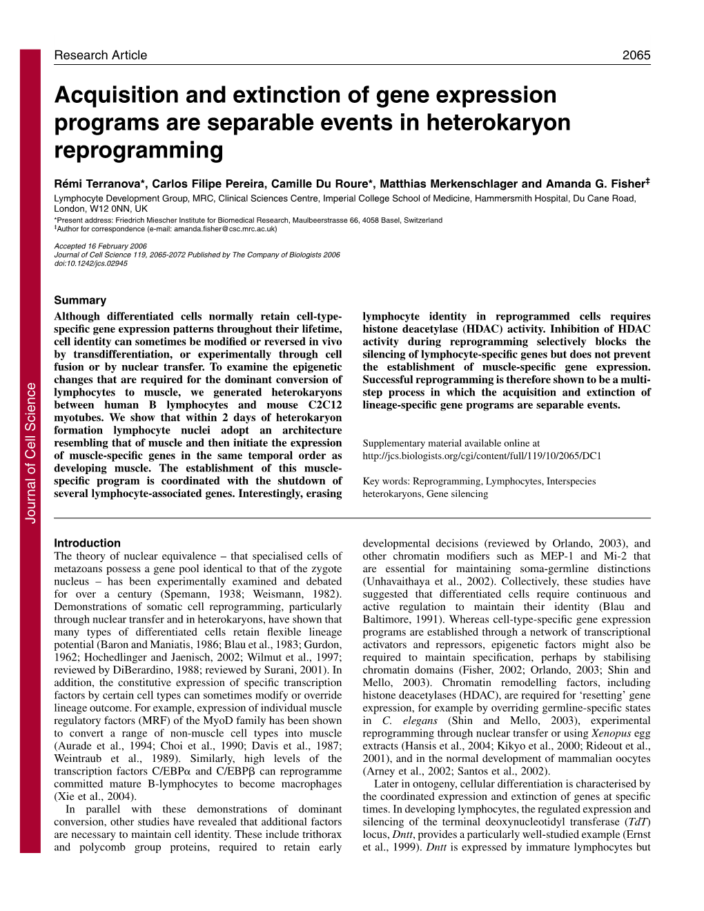 Acquisition and Extinction of Gene Expression Programs Are Separable Events in Heterokaryon Reprogramming