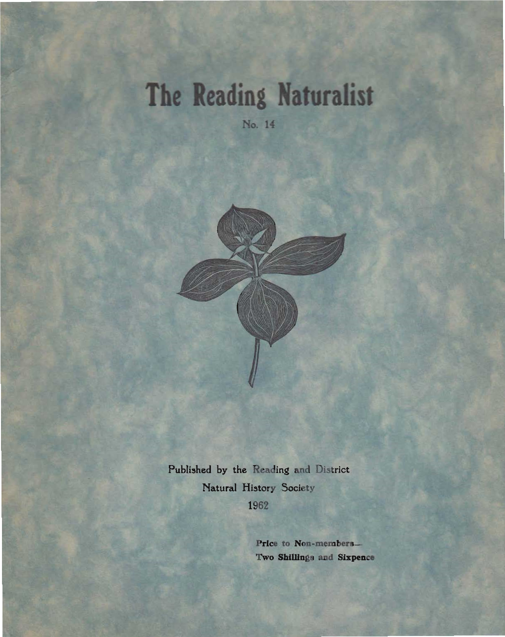 Naturalist #14 (1962)