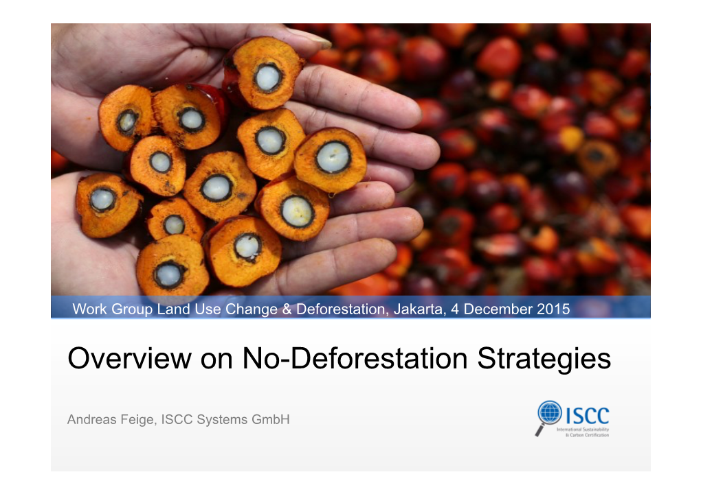 Overview on No-Deforestation Strategies