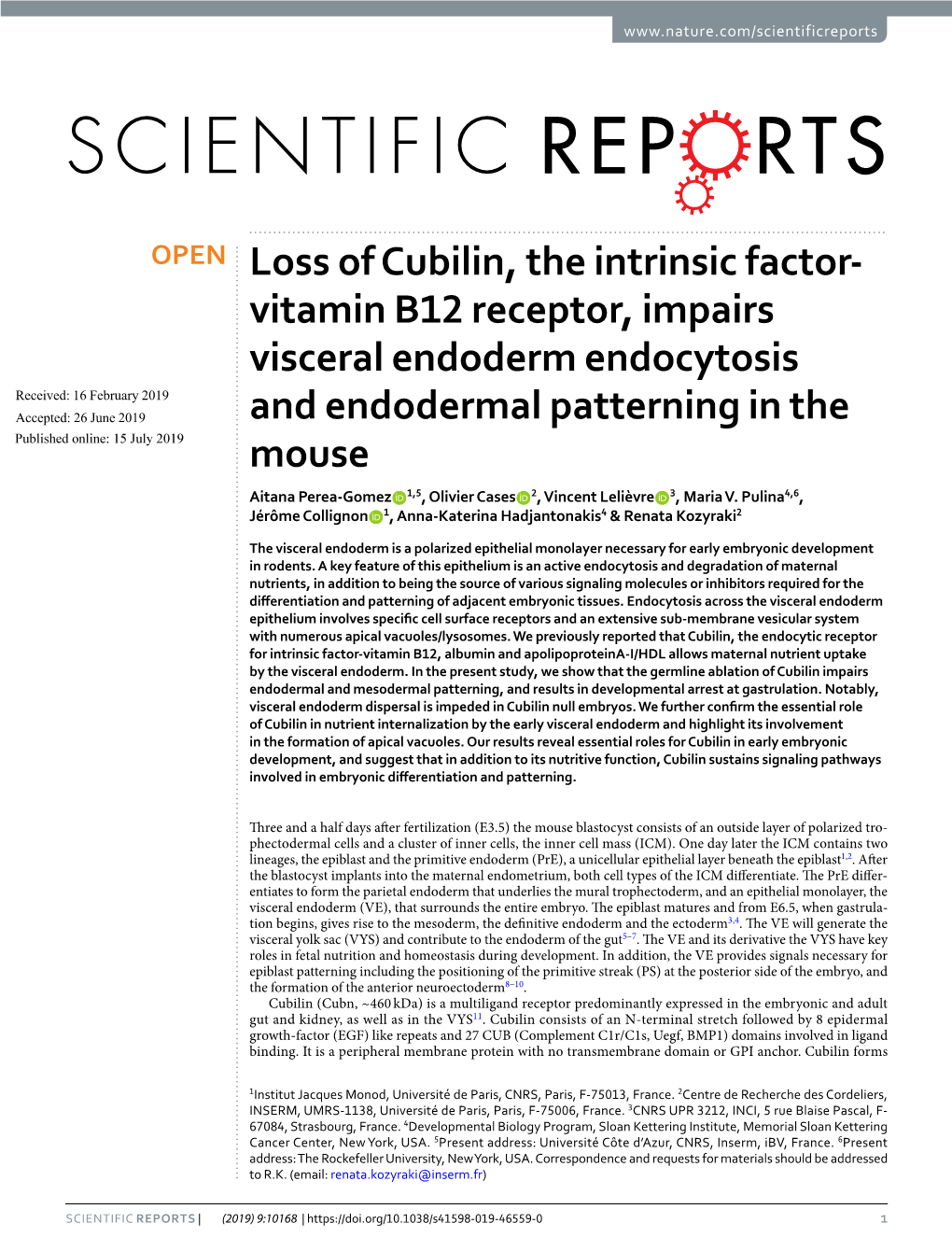 Loss of Cubilin, the Intrinsic Factor-Vitamin B12 Receptor, Impairs
