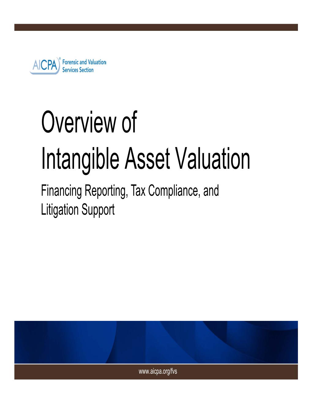 Overview of Intangible Asset Valuation Financing Reporting, Tax Compliance, and Litigation Support