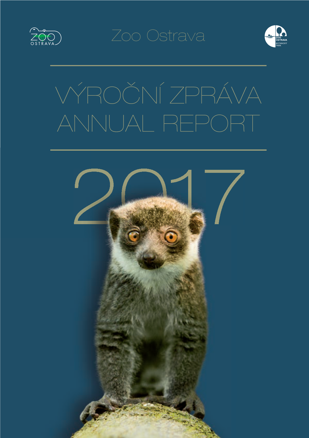 Výroční Zpráva Annual Report