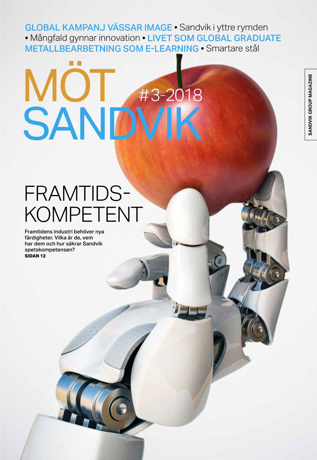 Möt Sandvik 2018 3.Pdf