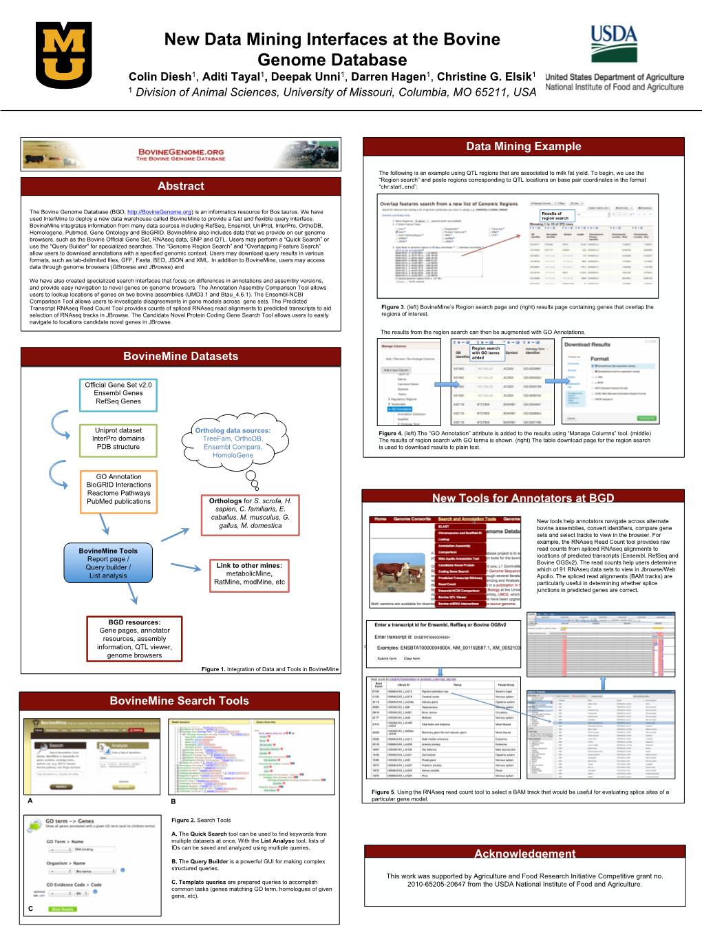 New Data Mining Interfaces at the Bovine Genome Database Colin Diesh1, Aditi Tayal1, Deepak Unni1, Darren Hagen1, Christine G