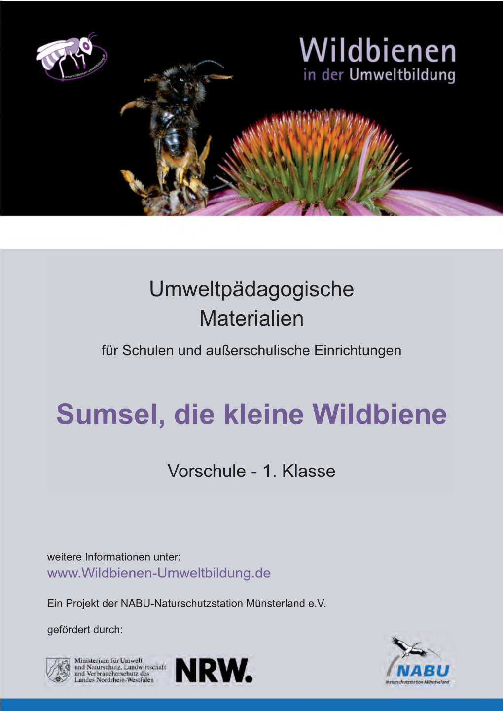 Wildbienen in Der Umweltbildung