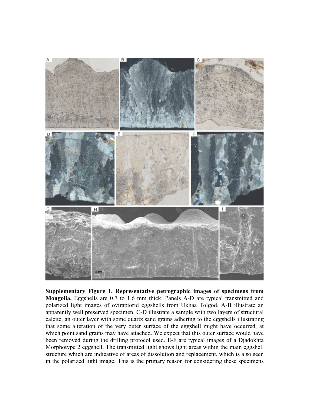 Isotopic Ordering in Eggshells Reflects Body Temperatures and Suggests