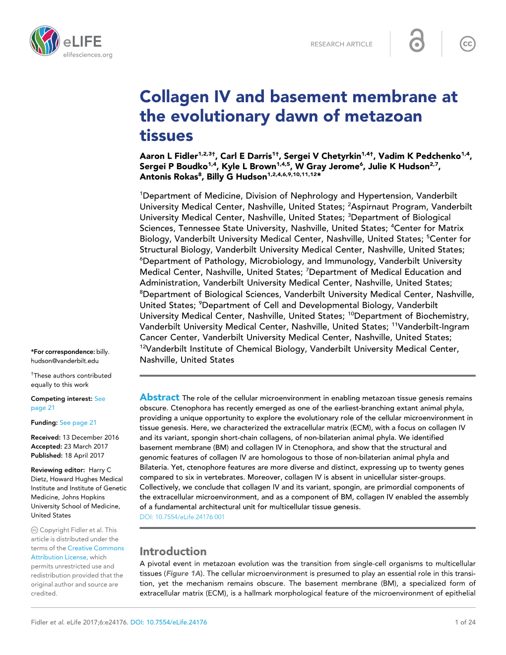 Collagen IV and Basement Membrane at the Evolutionary Dawn Of