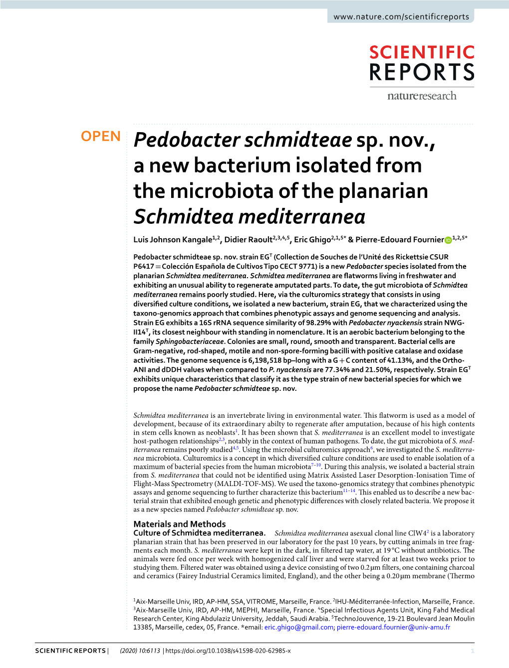 Pedobacter Schmidteae Sp. Nov., a New Bacterium Isolated from The