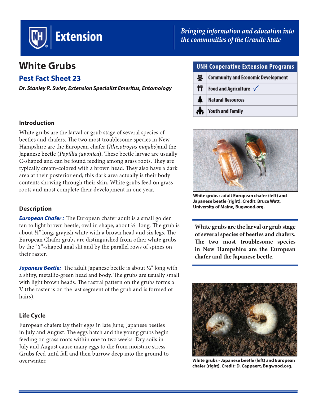 White Grubs Pest Fact Sheet 23 Dr