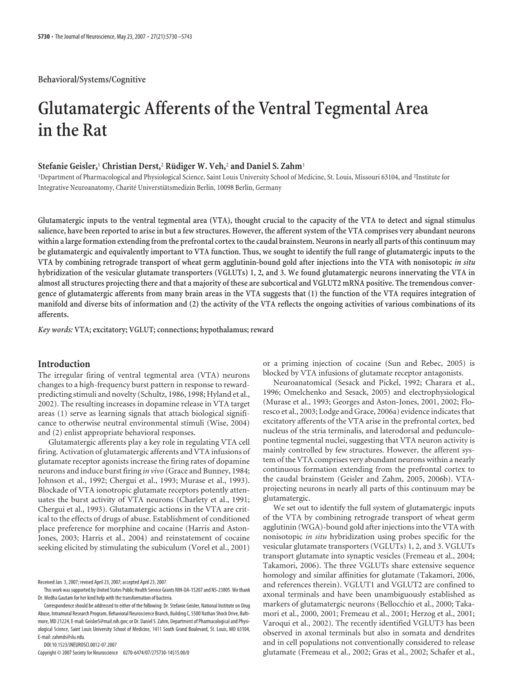 Glutamatergic Afferents of the Ventral Tegmental Area in the Rat