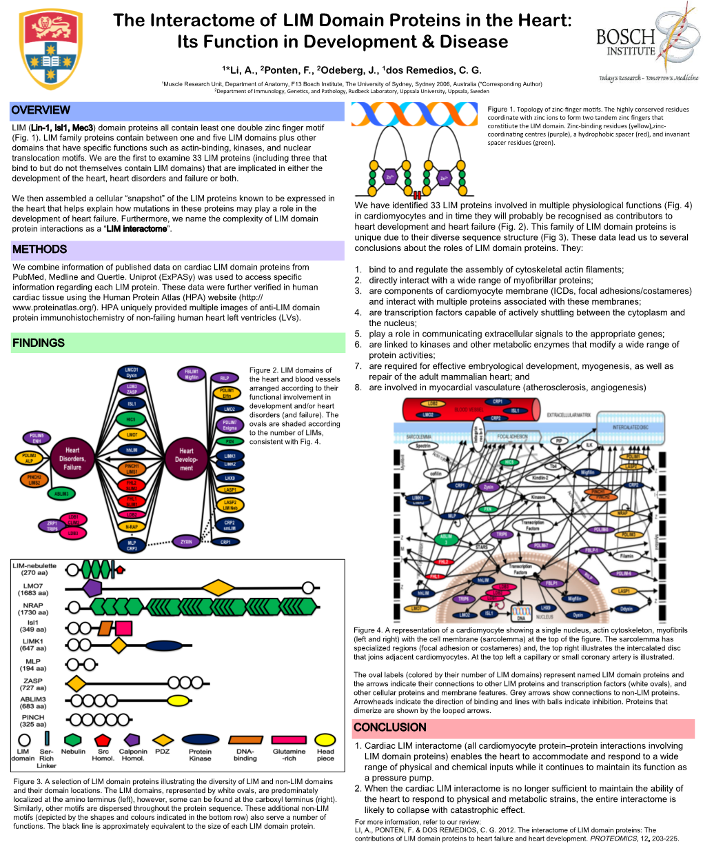 The Interactome of LIM Domain Proteins in the Heart: Its Function in Development & Disease