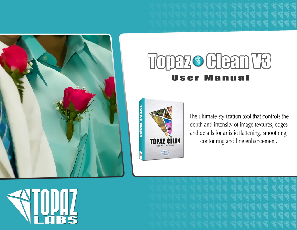 Download User Manual for Topaz Labs LLC Topaz Clean Plug-In