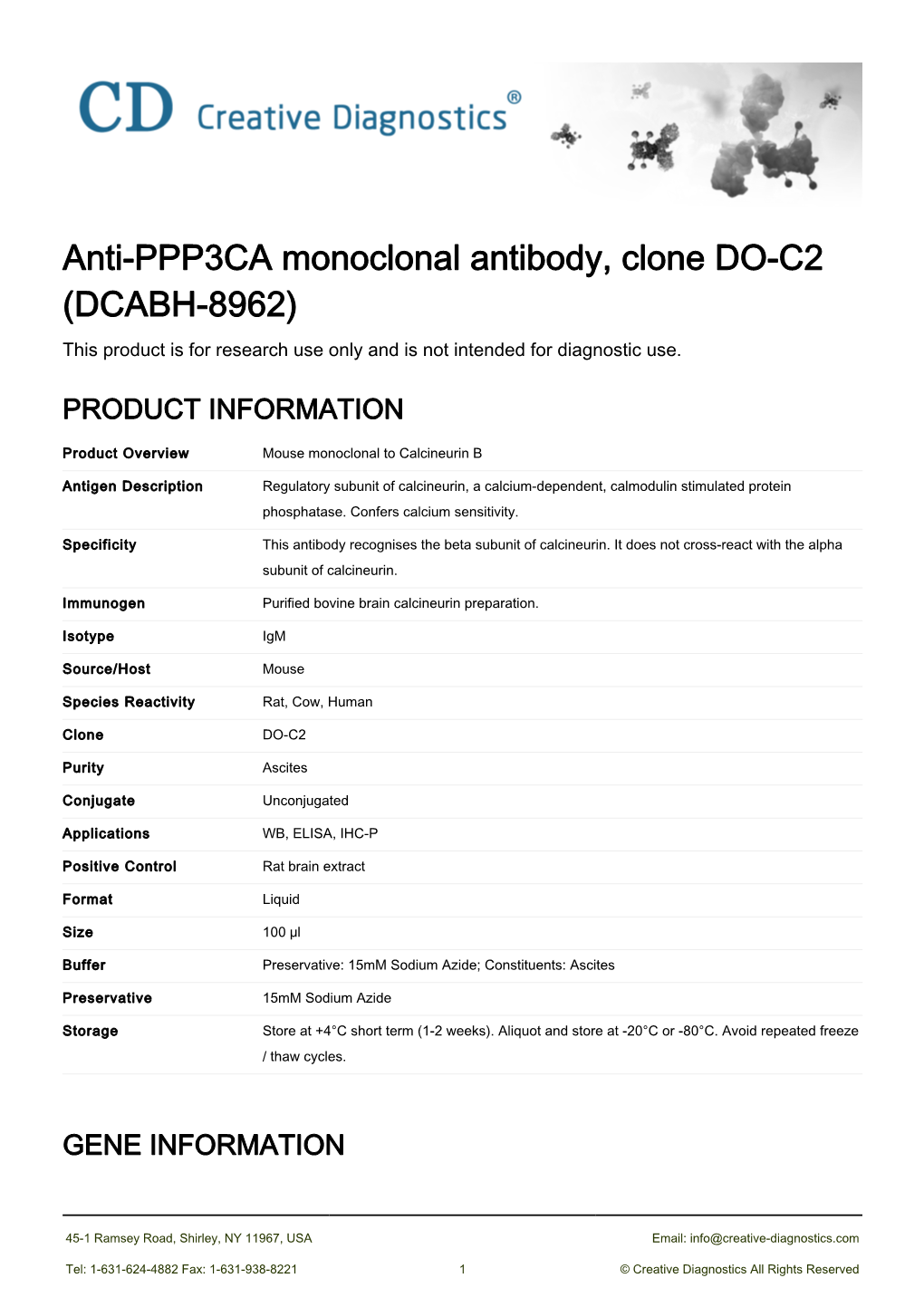 Anti-PPP3CA Monoclonal Antibody, Clone DO-C2 (DCABH-8962) This Product Is for Research Use Only and Is Not Intended for Diagnostic Use