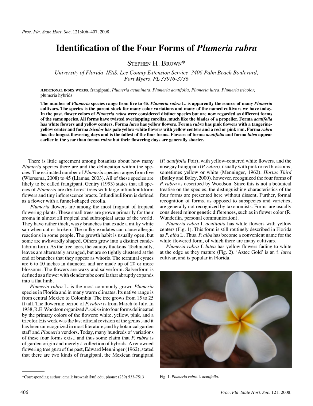 Identification of the Four Forms of Plumeria Rubra