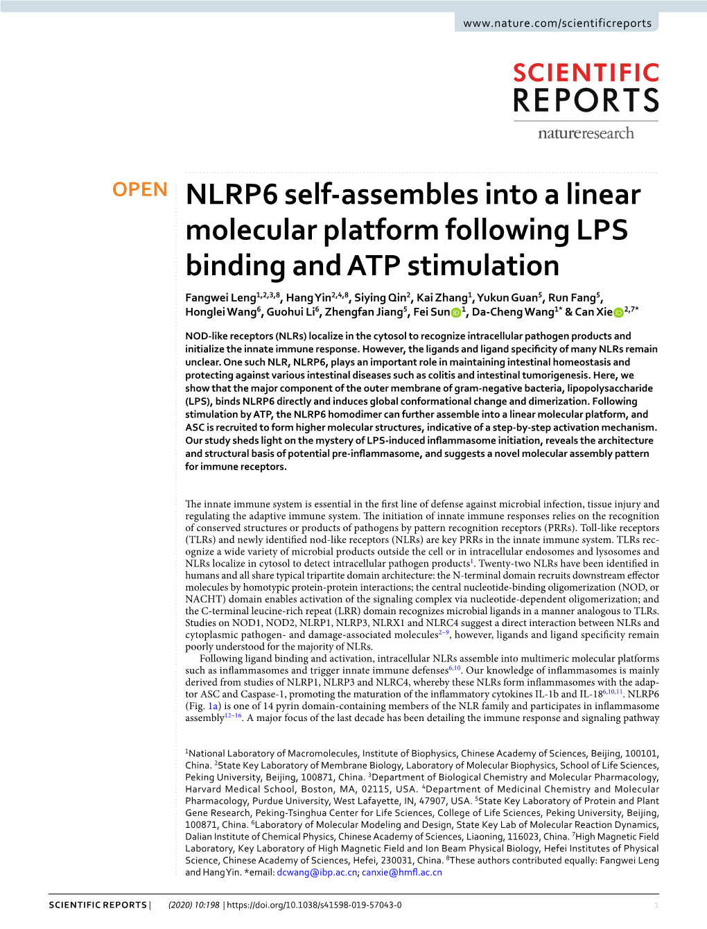 NLRP6 Self-Assembles Into a Linear Molecular Platform Following LPS