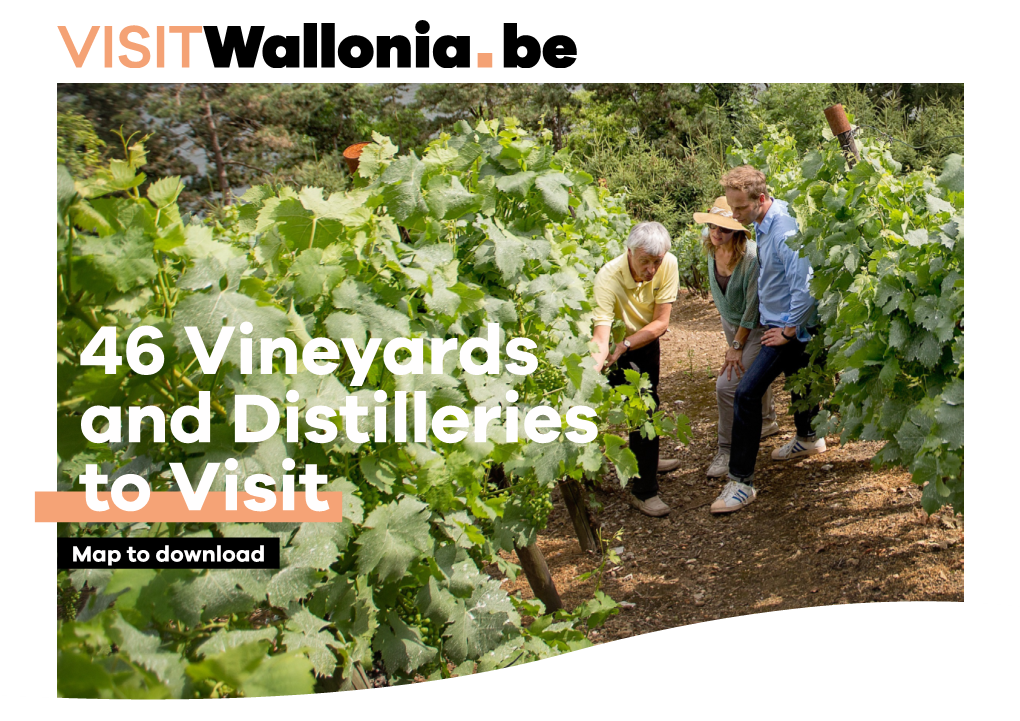 46 Vineyards and Distilleries to Visit Map to Download Discovering