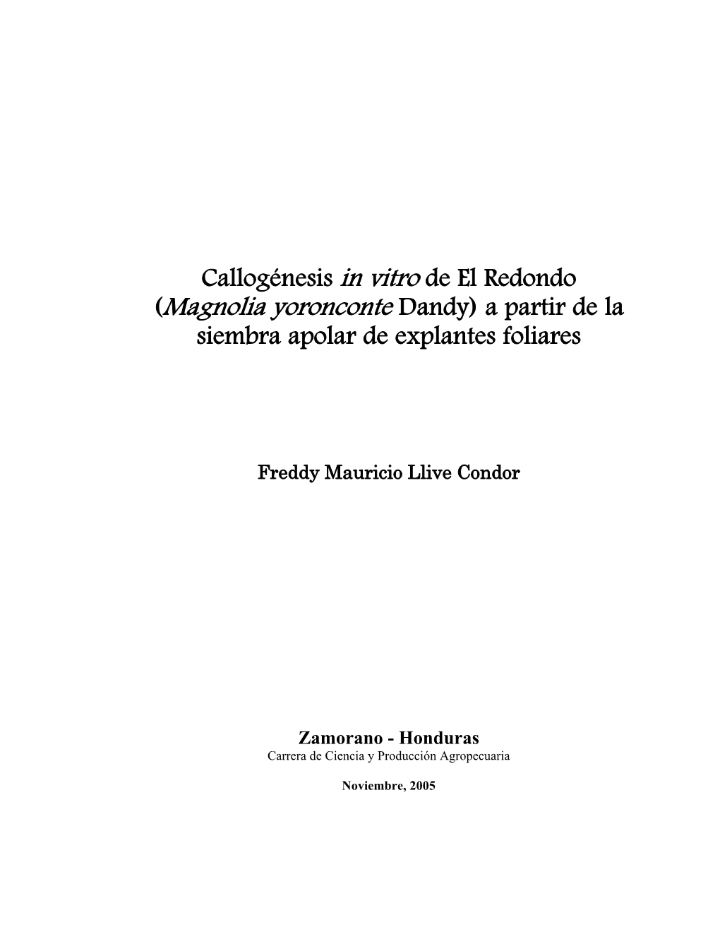 Callogenesis in Vitro De El Redondo (Magnolia Yoronconte