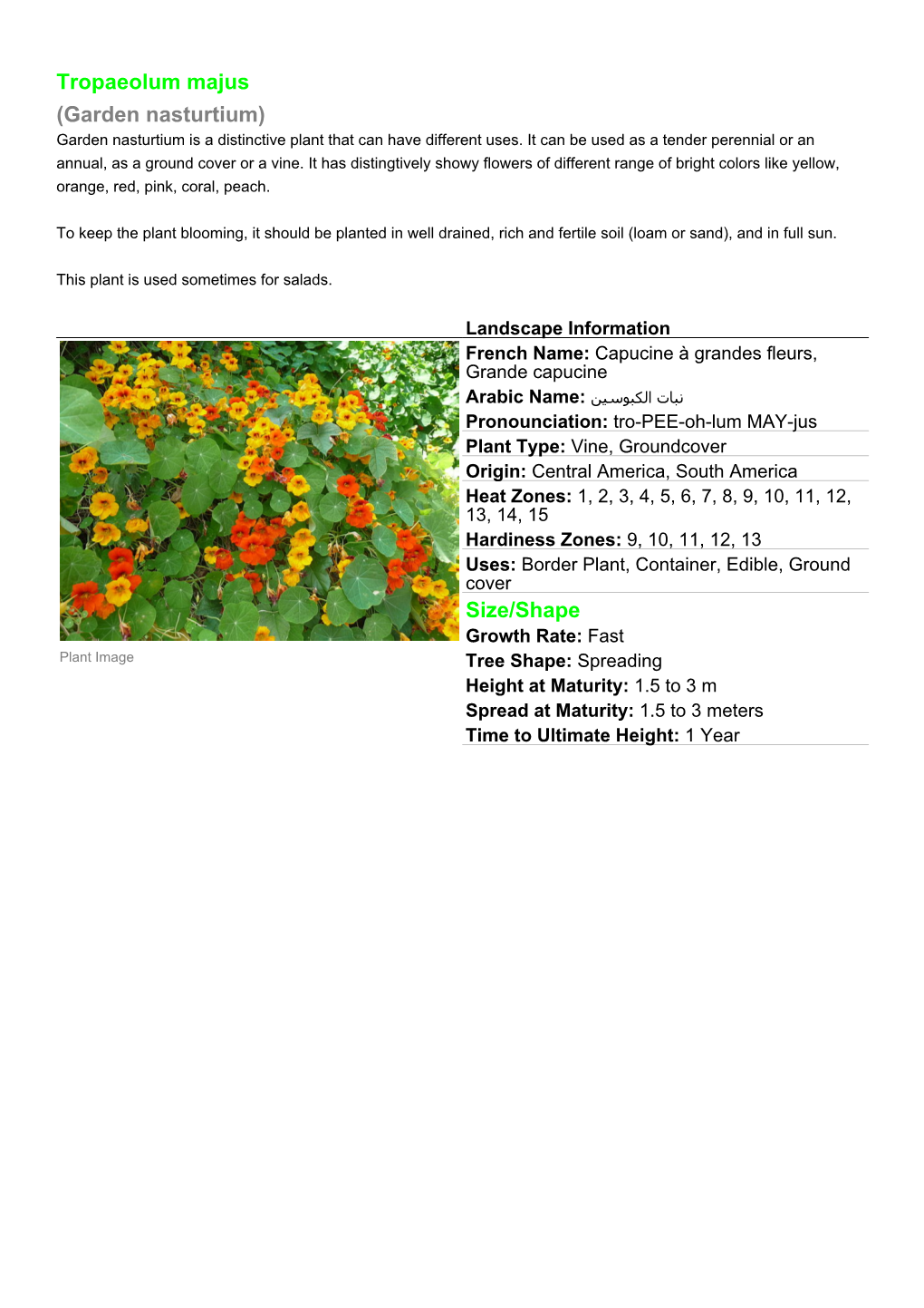 Tropaeolum Majus (Garden Nasturtium) Garden Nasturtium Is a Distinctive Plant That Can Have Different Uses