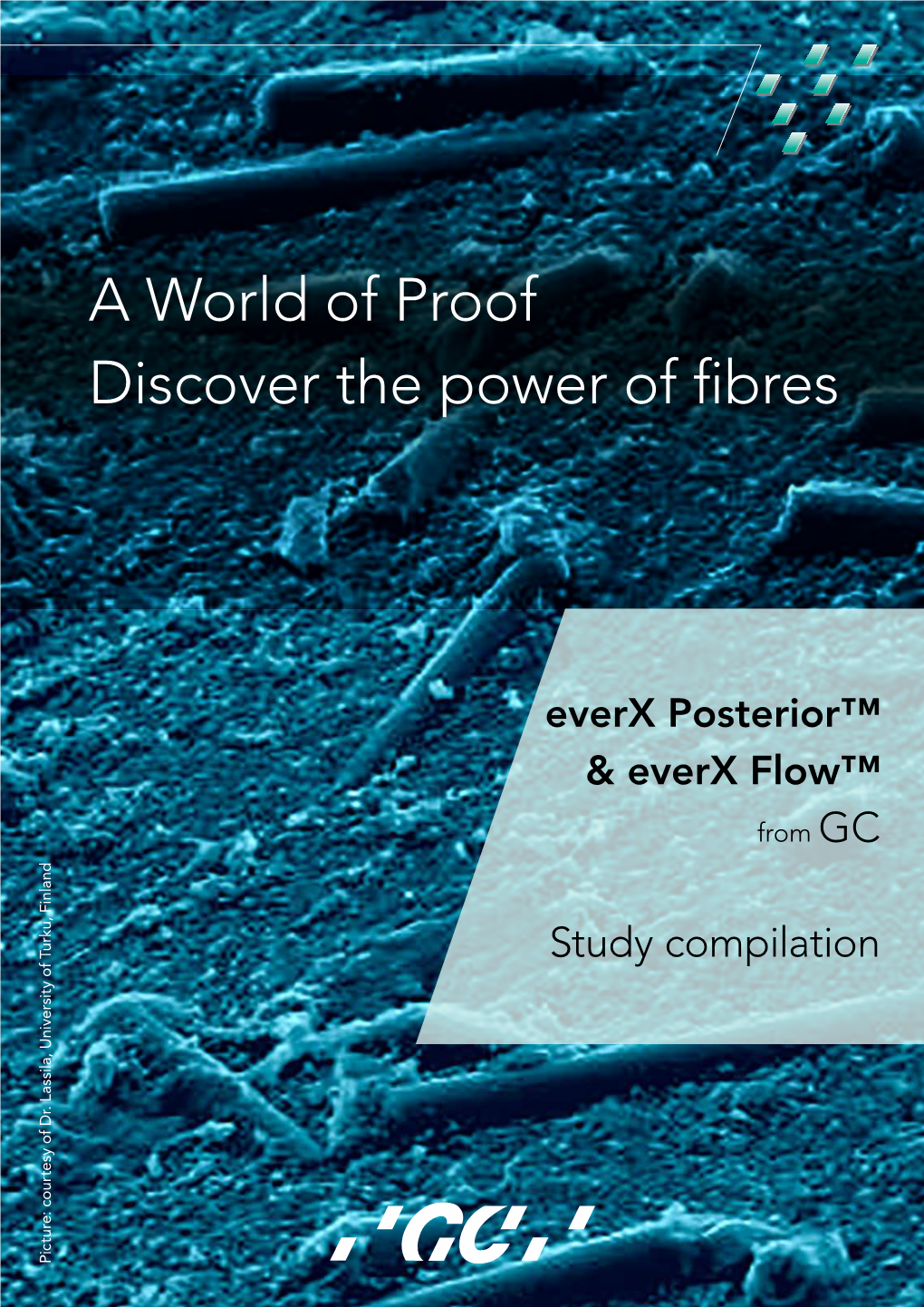 A World of Proof Discover the Power of Fibres