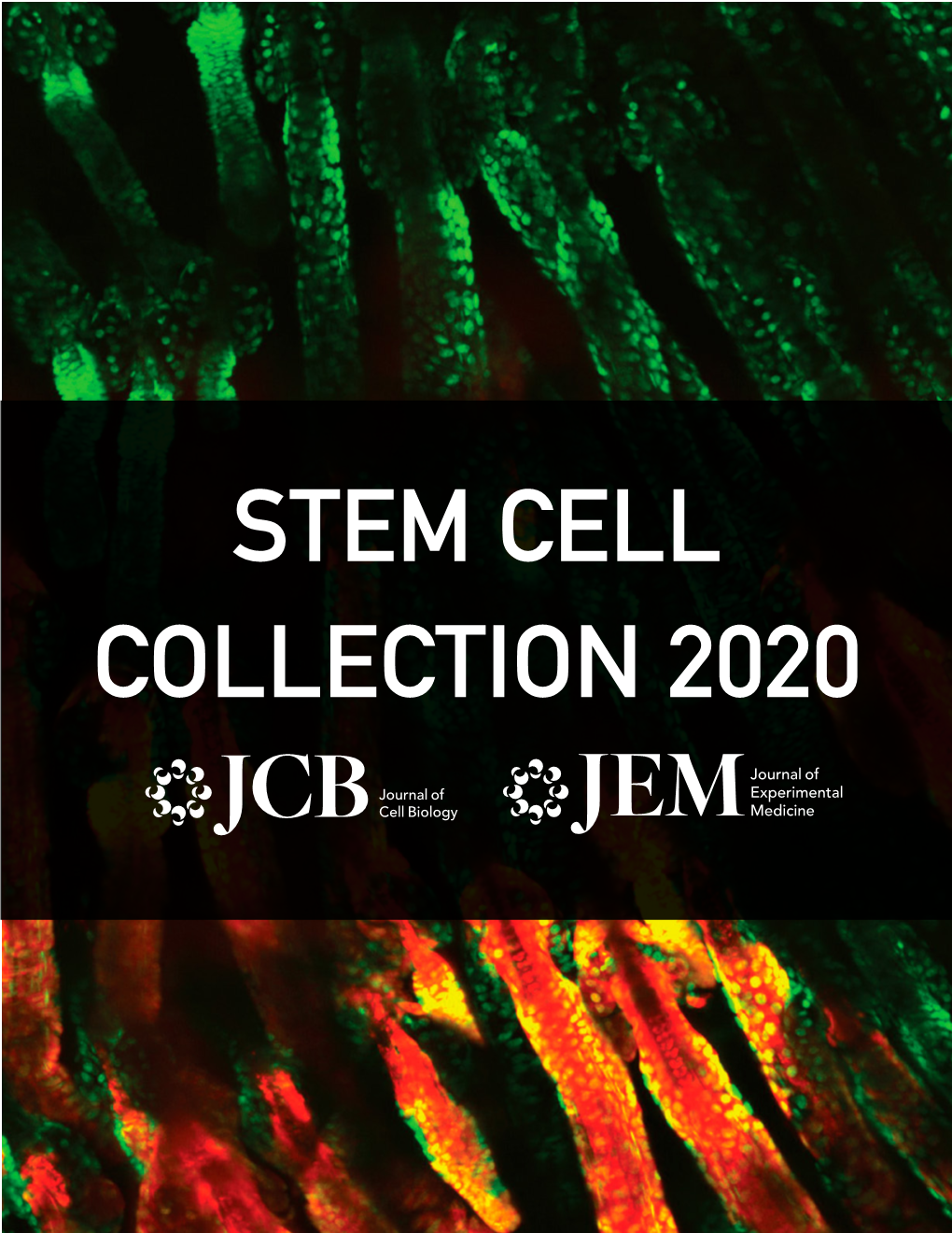 Stem Cell Collection 2020 Why Submit Your Research?