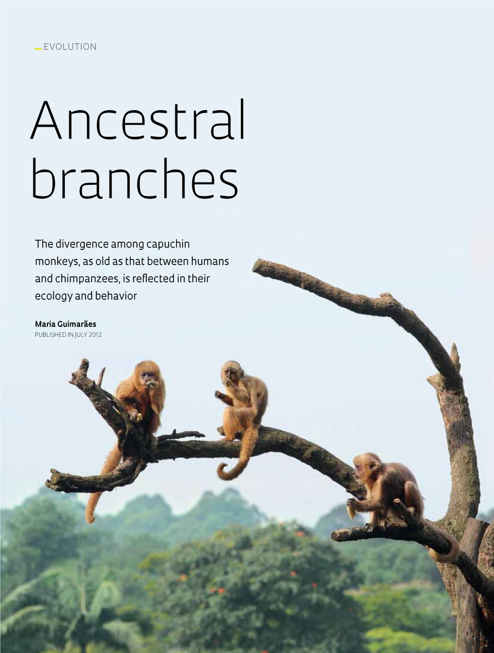 Ancestral Branches