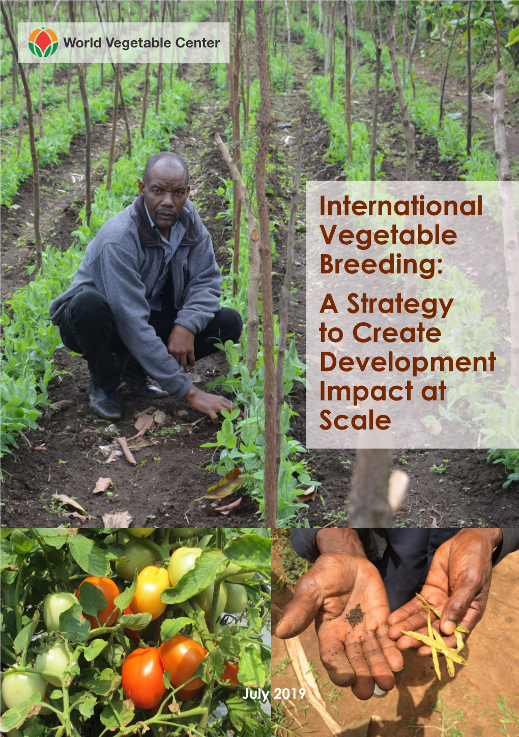 International Vegetable Breeding: a Strategy to Create Development Impact at Scale