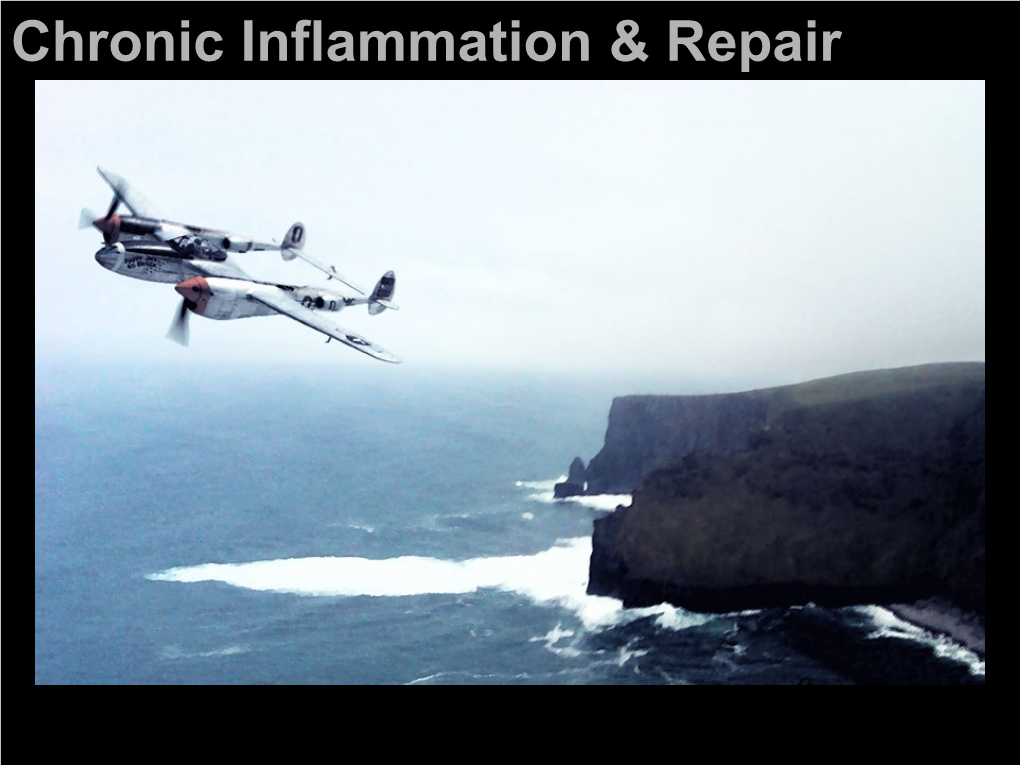 Chronic Inflammation & Repair