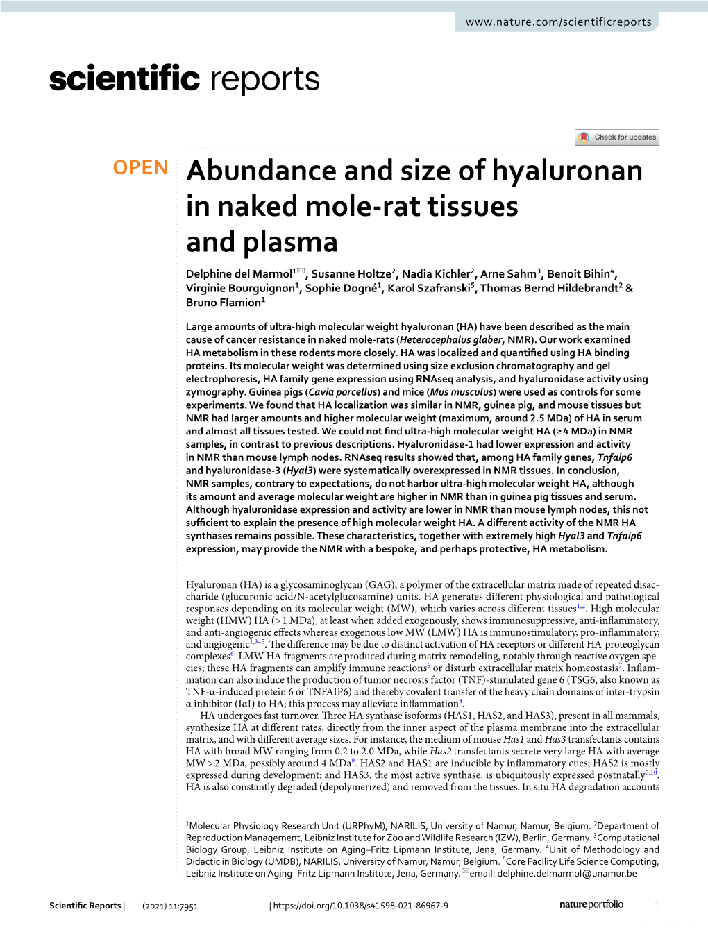 Abundance and Size of Hyaluronan in Naked Mole-Rat Tissues and Plasma