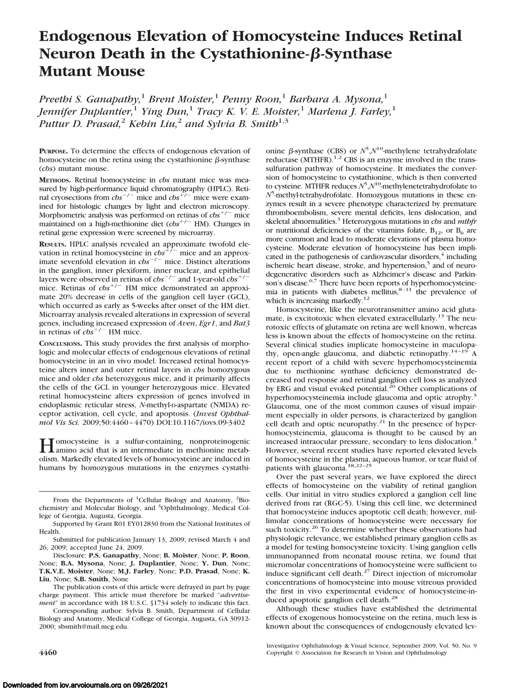 Endogenous Elevation of Homocysteine Induces Retinal Neuron Death in the Cystathionine-␤-Synthase Mutant Mouse