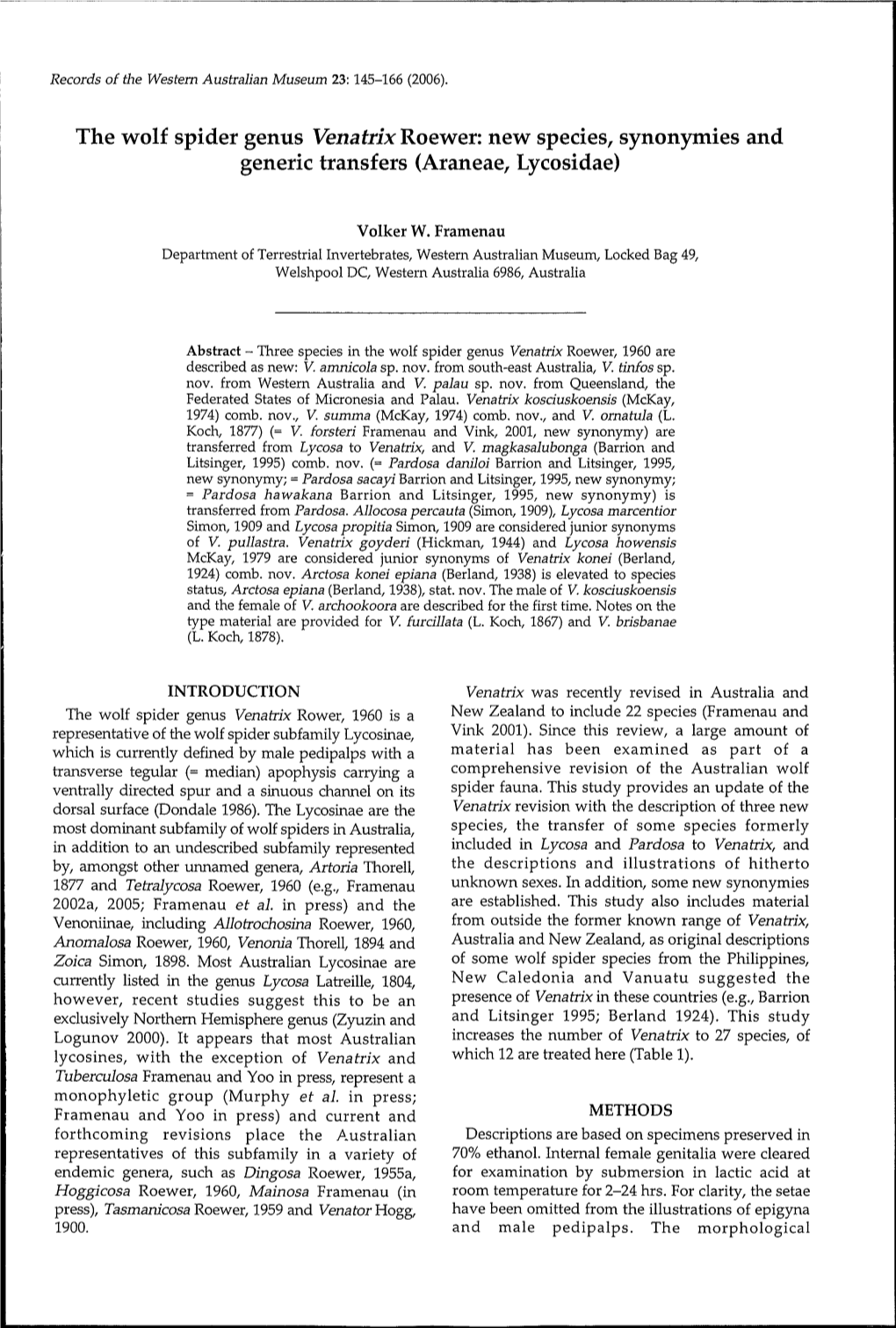 The Wolf Spider Genus Venatrix Roewer: New Species, Synonymies and Generic Transfers (Araneae, Lycosidae)