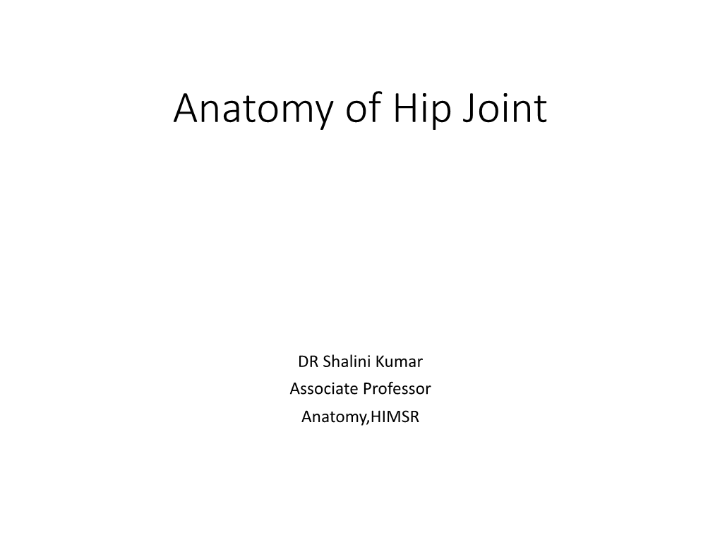 Anatomy of Hip Joint